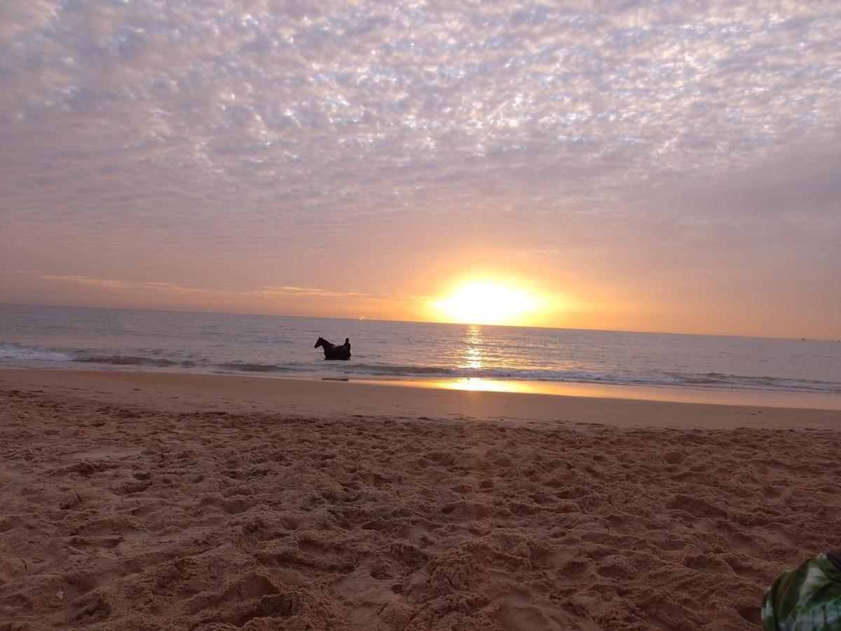 Paradisplage, 1 Minute De La Mer Saly Portudal Luaran gambar