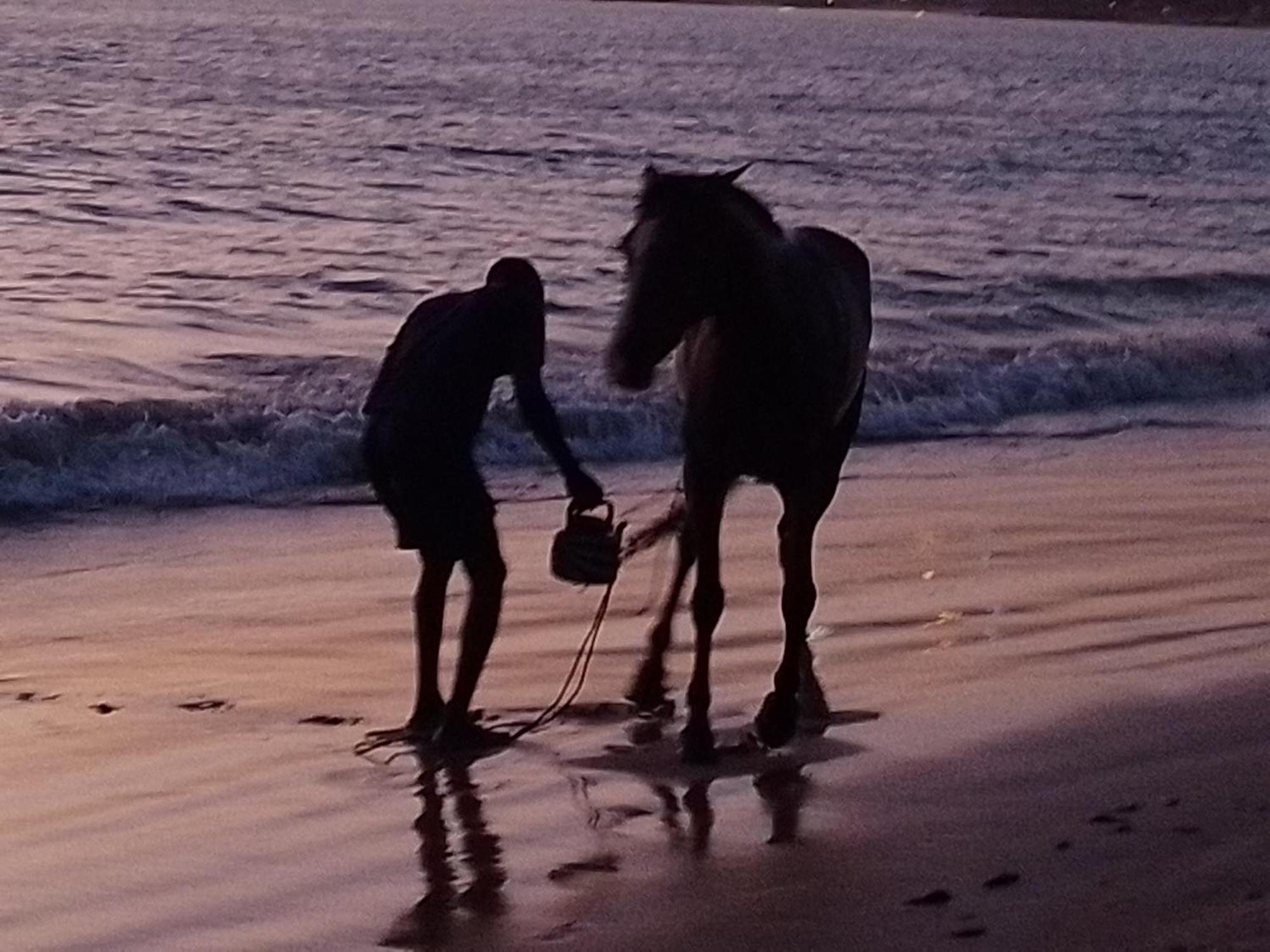 Paradisplage, 1 Minute De La Mer Saly Portudal Luaran gambar